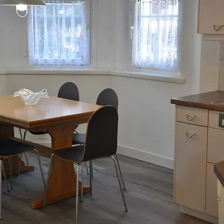 阿尔卡玛酒店 采尔马特